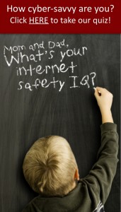 101 Quiz Widget